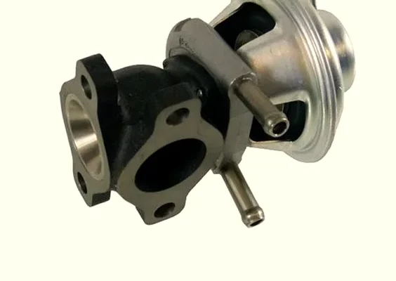 RAM Egr KL504150396
