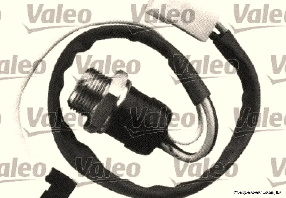 VALEO 819775 FAN MUSURU FIAT - Valeo - VALEO 819775