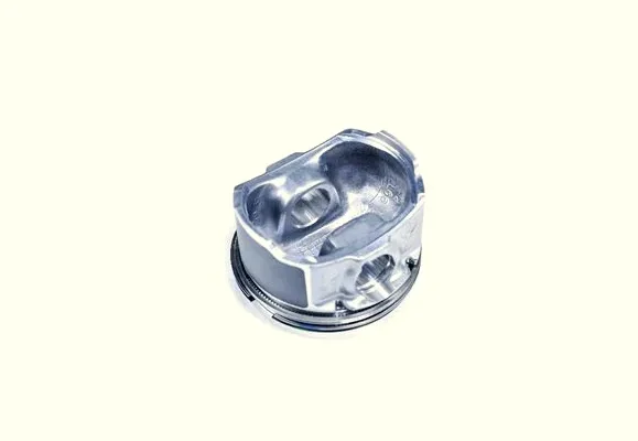 ORJINAL Piston TANE X 4 55235225