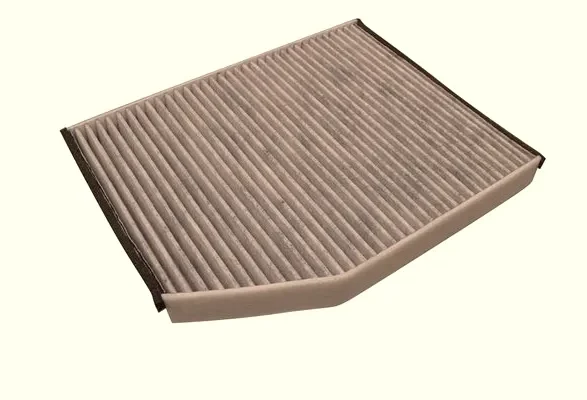 ORJINAL Polen Filitresi BK2119G244AA